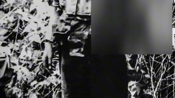 ทหารพราน