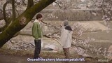 Under The  Miracle Cherry Tree Ep.8