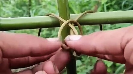 String-tying tips