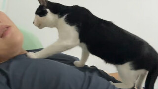 Soal memelihara kucing, saya tetap mengatakan hal yang sama