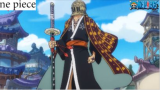 Trận Chiến Một Đấu Một. Pháp Sư Và Bác Sĩ! #Onepiece