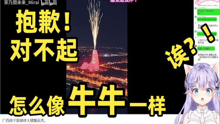 未来看烟花秀像牛牛