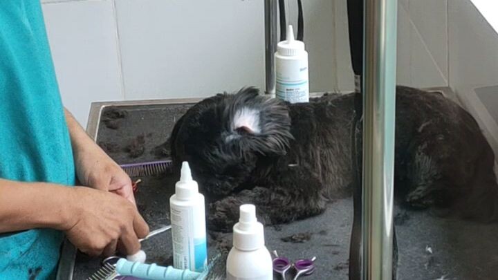 linis Tenga muna🙂