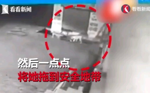 طفلة حديثة الولادة تُلقى في البالوعة، كلب مشرد ينقذها وينادي بصوت عالٍ لجذب انتباه البشر.