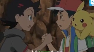 Pokemon 2019 - 72.3