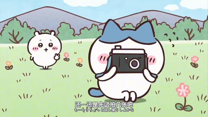 小八真是一个好宝宝！