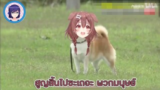 Inugami Korone กับการช่วยเหลือเจ้านาย [Vtuberแปลไทย]