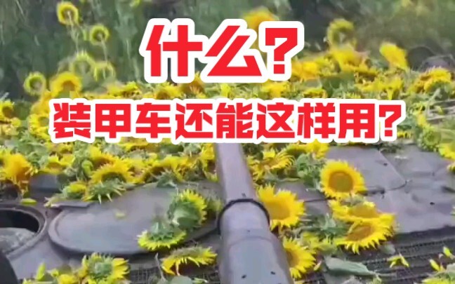 เครื่องเก็บเกี่ยวดอกทานตะวัน BMP-1 ของกองทัพยูเครน