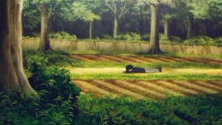 CCTT; CHILDHOOD#