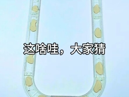 这啥呀？大家猜