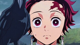 那一声鎹鸦叫我听得秒转头了 以为真有人叫