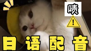 Thợ sửa mèo, nhưng là phiên bản tiếng Nhật