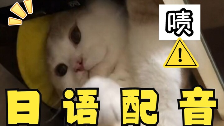 Cat Repairman، ولكن النسخة اليابانية