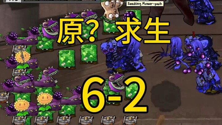 Original? Survival 6-2