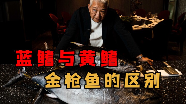 【พี่ชางชิงเจี๋ย】ครั้งนี้ผมเตรียมทูน่าสองสายพันธุ์ มาให้ดูความแตกต่างระหว่างครีบเหลืองกับครีบฟ้า