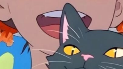 kucing lucu dan gemas