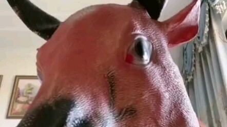 ก่อนดู: หัววัวหน้าม้าอะไรกัน? หลังดู: สวัสดี ที่รัก!