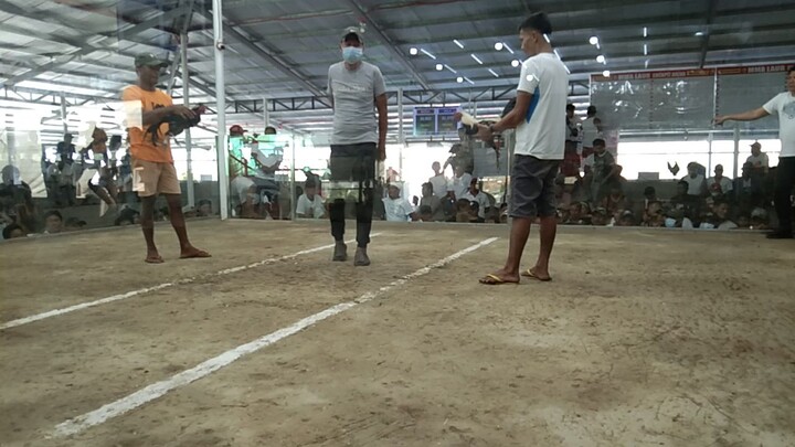 1k  binebenta ayaw bilin napalaban sa gradas