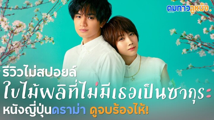 รีวิว Love Like The Falling Petals ใบไม้ผลิที่ไม่มีเธอเป็นซากุระ หนังดราม่าญี่ปุ่นสุดจุกดูจบน้ำตาแตก