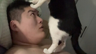 แมวตัวนี้กลายพันธุ์รึเปล่า?