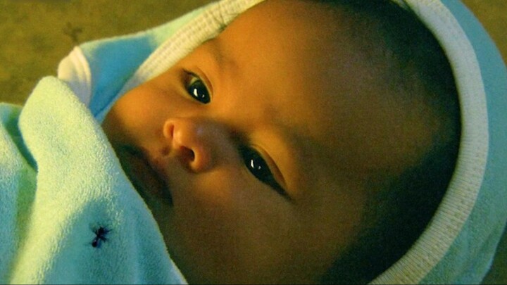 Kiến lửa đỏ thực sự đáng sợ, phim về bản chất con người