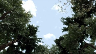 ultraman omega ตอน17