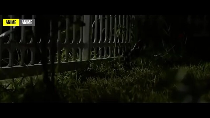 film korea (persahabatan dgn anjing)