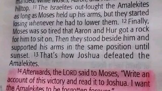 Daily Verse.                  Exodus 17:8-13