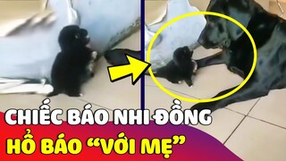 Khi sen nuôi phải chiếc báo 'NHI ĐỒNG' dám cãi tay đôi với Mẹ của mình 😅 Gâu Đần