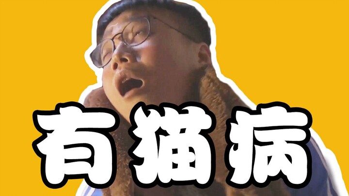 Cẩn thận nhấp! Ghi chép thực tế của một người nghiện mèo nặng