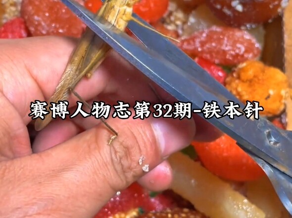 Profil Tokoh Siber – Tetsumoto Hari