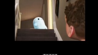 小作坊下料就是猛