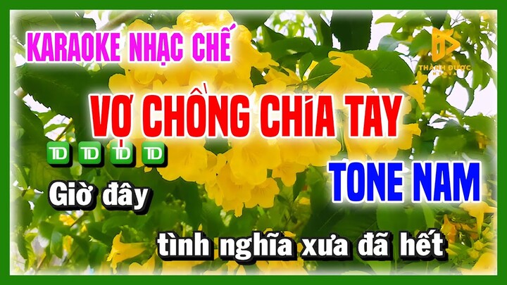 Karaoke VỢ CHỒNG CHIA TAY - Chuyện Hoa Sim Nhạc Chế NVS TONE NAM