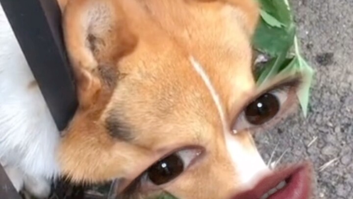 Aku benar-benar kagum