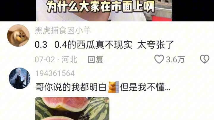 Dưa hấu Tam Mao thì ai ăn người ấy biết, chẳng có tí vị dưa hấu nào cả, hạt lại siêu nhiều; đến giờ 