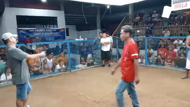 BUGBA 4 Stag 3rdfyt (W)