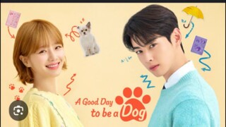 A GOOD DAY TO BE A DOG TAGALOG EP25