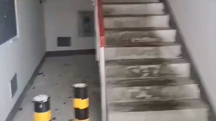 Ngay khoảnh khắc nhìn thấy Đại Bạch, tim tôi như chết lặng.