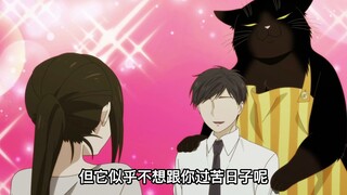 七月新番：女主养的猫成为别的女人心中的完美对象