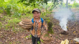 Mao Đệ Trổ Tài Bắt Ong Siêu Kinh Điển Sau Những Ngày Cách Ly