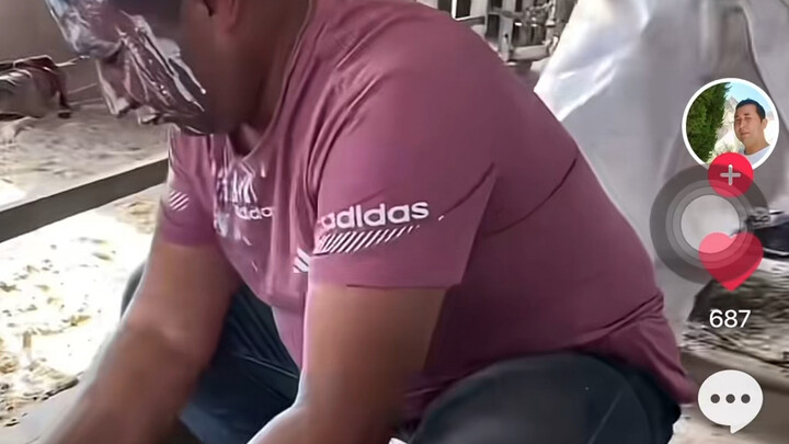 الرجل الذي باع شينجيانغ بأكملها