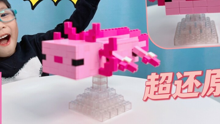Hướng dẫn chi tiết nhất dạy bạn sử dụng các khối xây dựng để tạo axolotl Minecraft, giúp khắc phục nỗi sợ hãi về axolotl