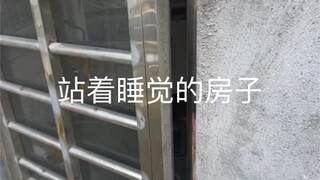 هل هناك أصدقاء يحبون النوم واقفين؟ هذه الشقة مناسبة جدًا لهم! أنا وأصدقائي السبعة الأقزام راضون جدًا