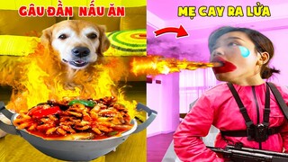 Thú Cưng Vlog | Chó Gâu Đần Golden Troll Mẹ #20 | Chó golden vui nhộn | Funny pets smart dog