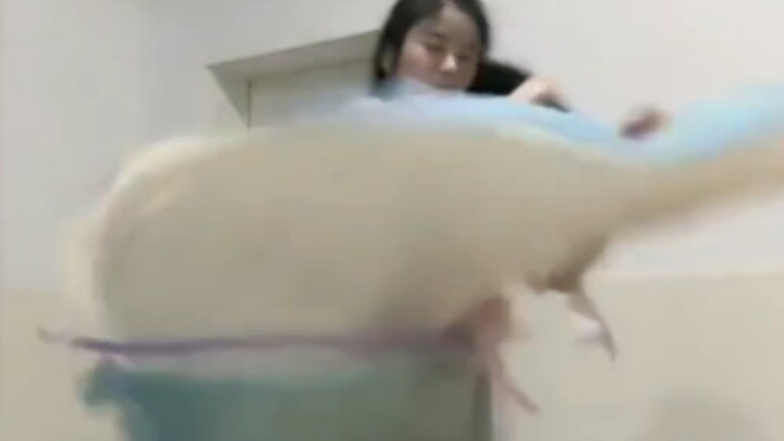 跳的就像我的人生一样