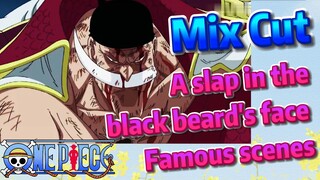 [ONE PIECE]   Mix cut |  A slap in the black beard's face    Famous scenes