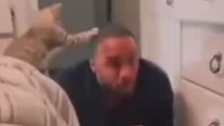 Videos 7#