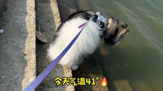 Live for a long time, Guangdong is actually 41°!  Take the hairy child to the bubble water