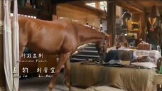 Ride On (2023)