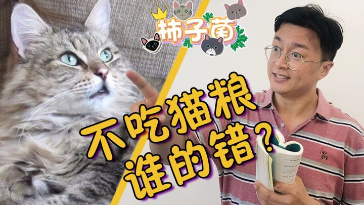 Mengapa anak kucing kecil tidak mau makan makanan kucing? Apa saja yang telah dilakukan salah oleh p